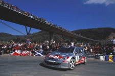 Rally Travel - 206